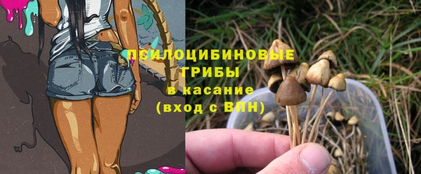 2c-b Алексеевка