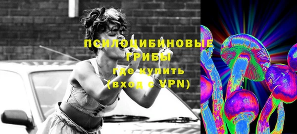 МДПВ Алзамай