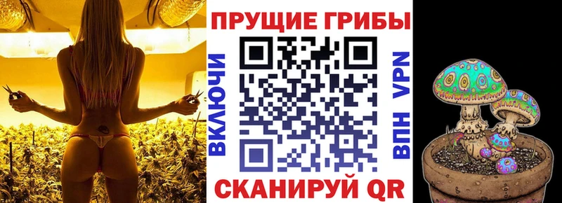 гидра   Катайск  Галлюциногенные грибы Magic Shrooms 